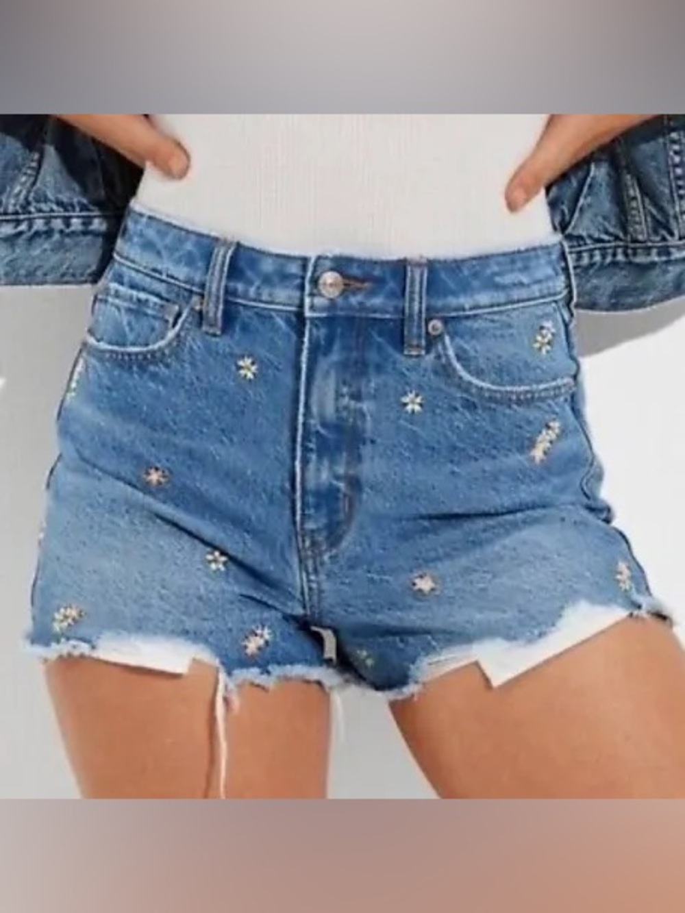 NWT ✨ American Eagle Outfitters Blue Daisy Embroidered Denim Shorts size 28/6